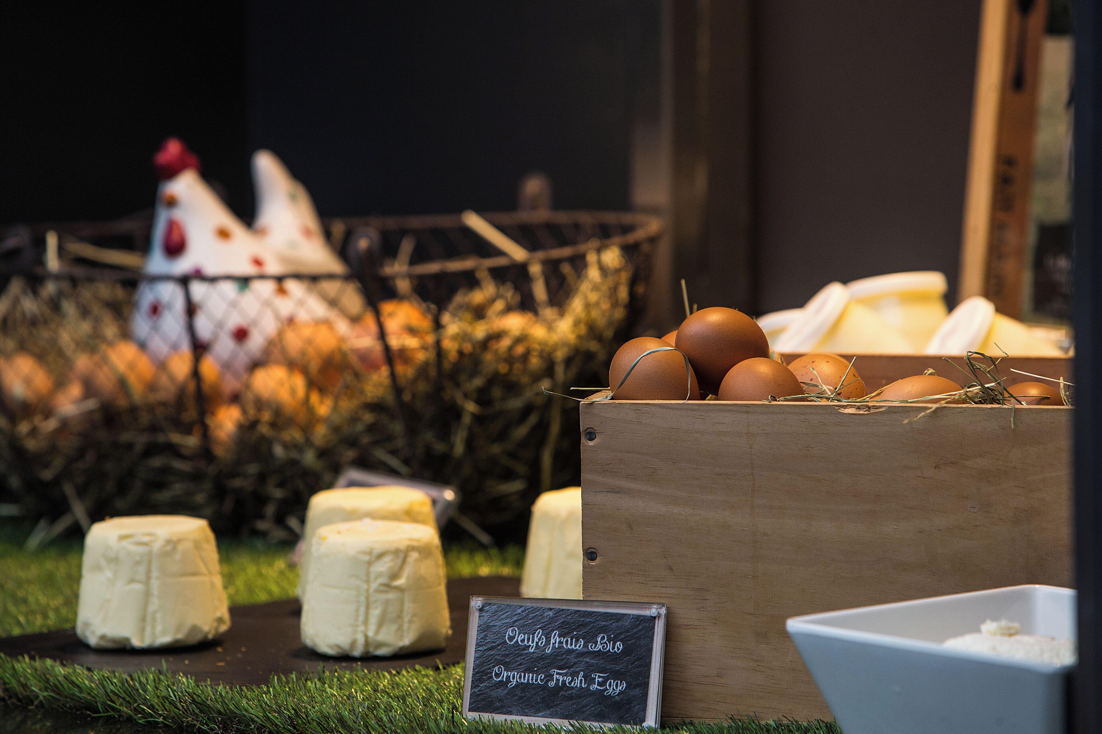 Novotel Les Halles Hotel Paris